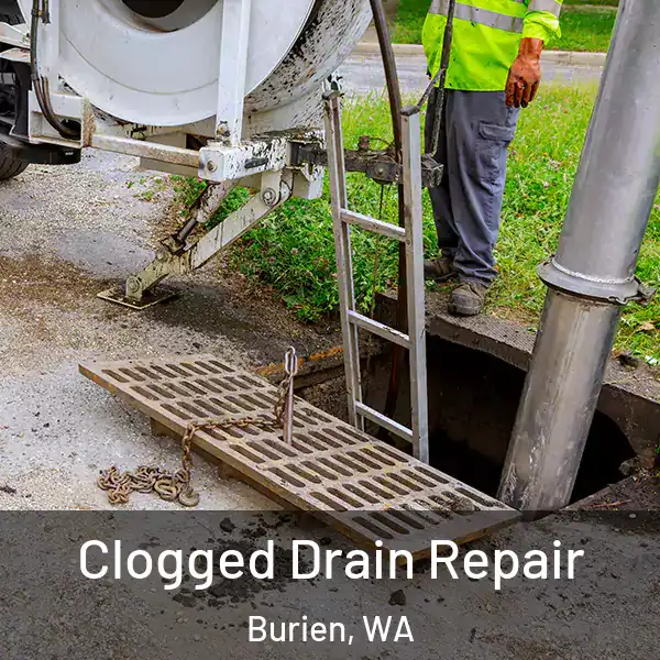  Clogged Drain Repair Burien, WA