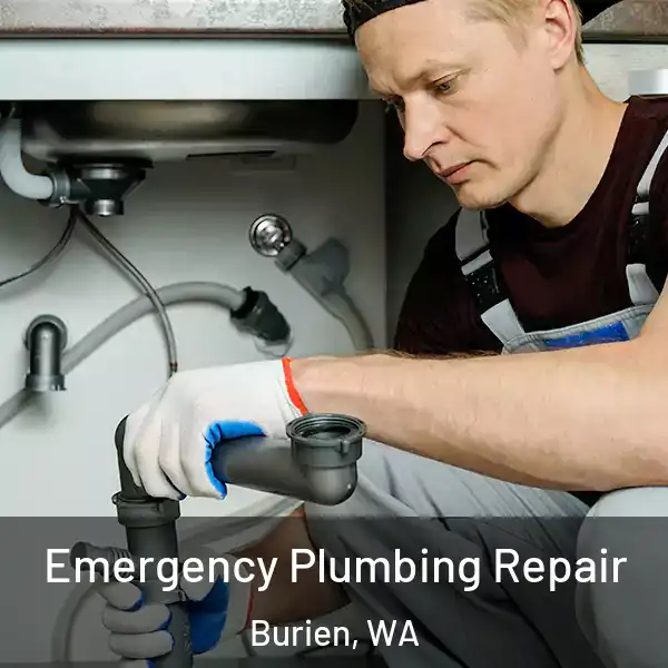  Emergency Plumbing Repair Burien, WA