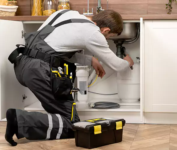 Certified Plumbers for Insinkerator Installation in Burien