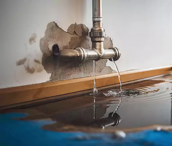 Professional Water Damage Restoration Experts in Burien, WA — Fast, Reliable & Certified