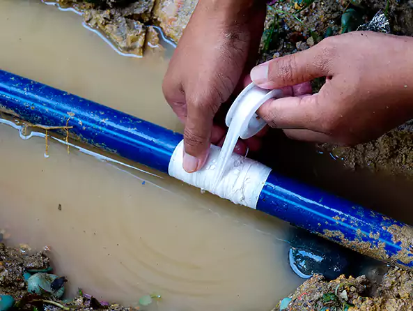 Why Choose Fox Plumbing Burien for Leak Detection in Burien, WA?]