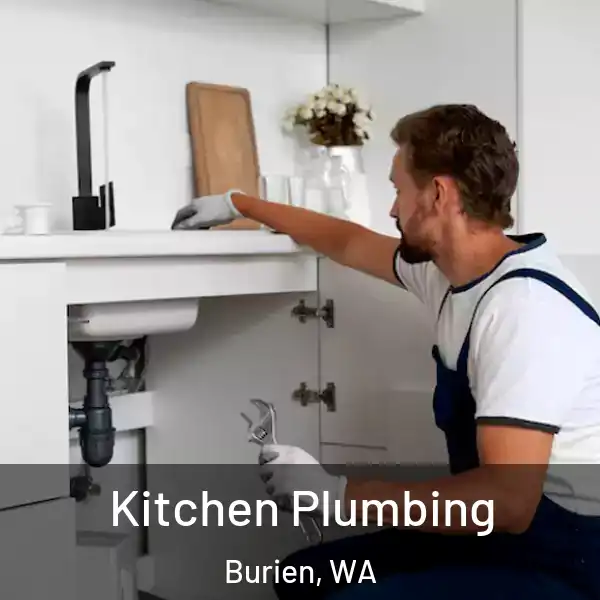  Kitchen Plumbing Burien, WA