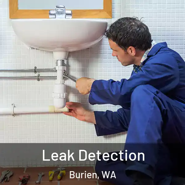  Leak Detection Burien, WA