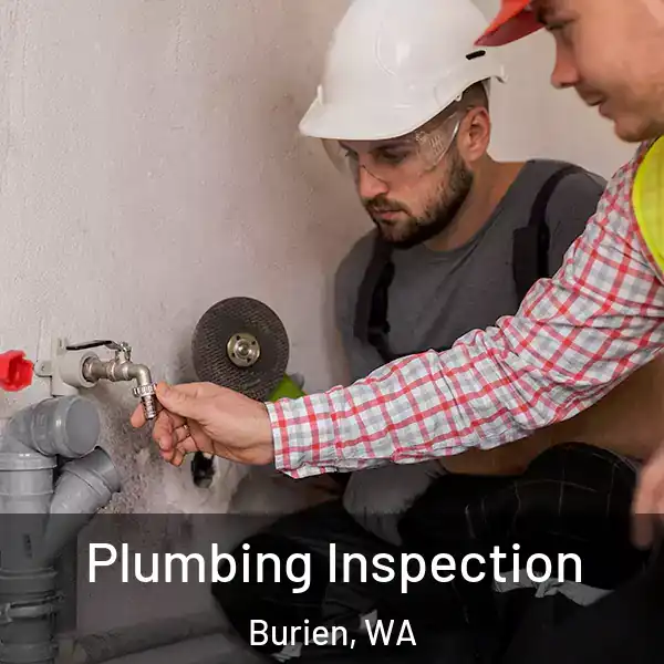  Plumbing Inspection Burien, WA