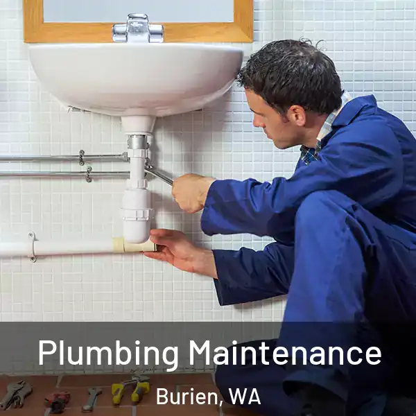  Plumbing Maintenance Burien, WA