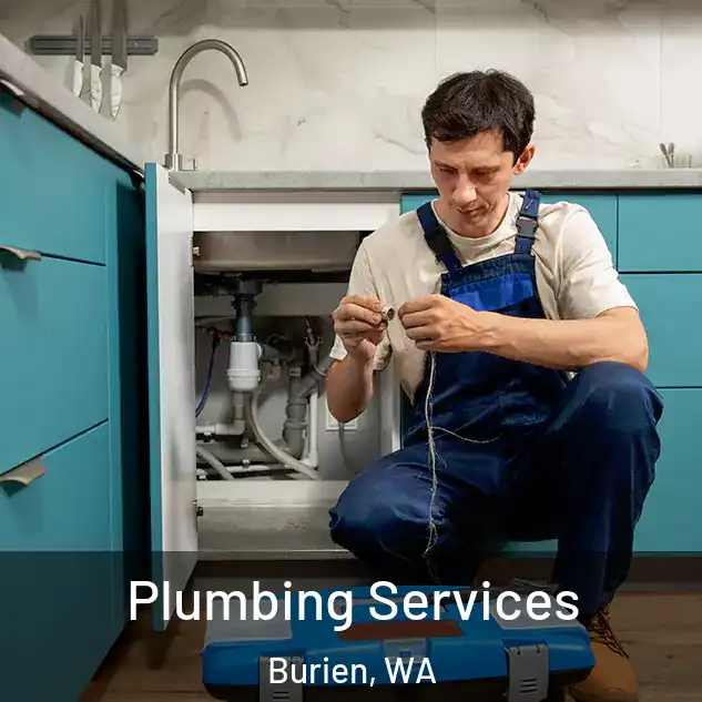  Plumbing Services Burien, WA