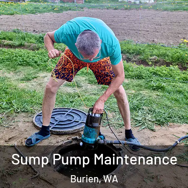  Sump Pump Maintenance Burien, WA
