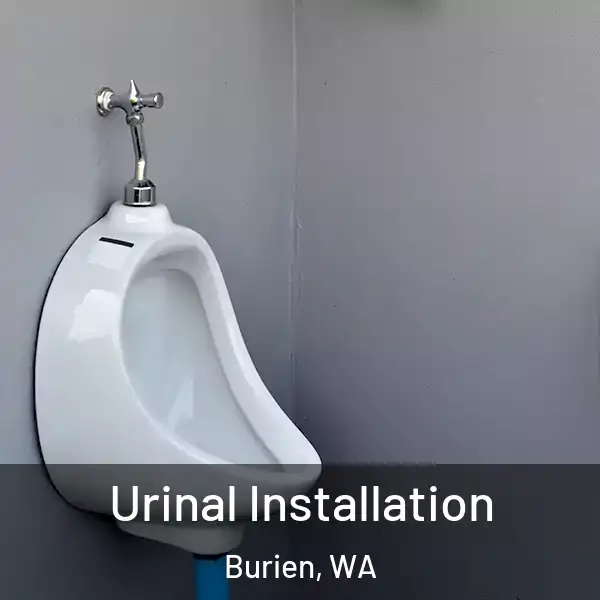  Urinal Installation Burien, WA