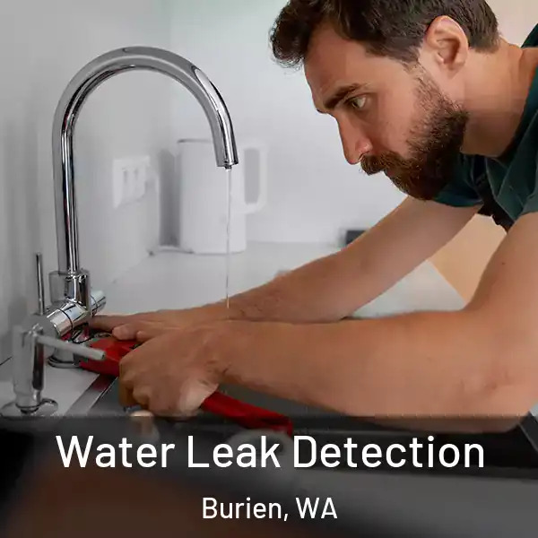  Water Leak Detection Burien, WA